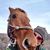 Genna Gabriel's profile image