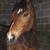 Rose Marie Sinn's profile image