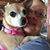 Anne Newman's profile image
