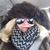 Lynn VanAllen's profile image
