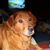 Deanna Smith's profile image