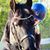 Karen Tosh's profile image