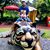 Ryan Carl Impink's profile image