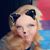Kitiara Marie Delacruz's profile image