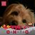 Penny Miller's profile image