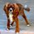 Madelaine Skenderian's profile image