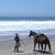 Lori Moniz-Waddell's profile image