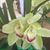 Alou Oula's profile image