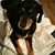 Emily Porges's profile image
