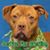 Laura Mike Newson's profile image
