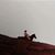 Tammy McCourt-edwards's profile image