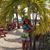 Shannan Grabill's profile image