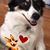 Janis Francis's profile image