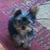 Kimberly Ann Dalton's profile image
