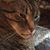 Tim Baldinger's profile image