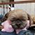 Kr Mu's profile image
