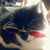 Monica Smith's profile image
