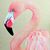 Anjie Friedel's profile image