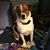 Jessica Muffly's profile image