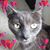 Diane Marie's profile image