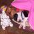 Jo Anna Ward's profile image
