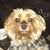 Kellie Ford Terry's profile image
