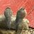 Kathie Stifter's profile image
