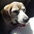 Alan Glisson's profile image