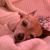 Sandra Rivera Earle's profile image