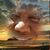 Francisco Cami Gonzalez's profile image
