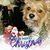Evelyn Bunn's profile image
