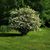 Theresa Broccio Philbrick's profile image