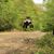 David Adley's profile image
