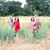 Stephenie 'Gamble' Chisholm's profile image