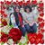 Karrie Kelley Seavey's profile image