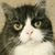 Edward A. Creaser's profile image