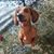 Marcy Sperling's profile image