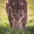 Tammy Thompson's profile image