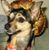 Julie Fleischhauer Olesky's profile image