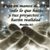 Yulimar de Duarte's profile image