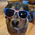 Denise Starr's profile image