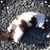 Jo Brown's profile image