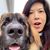 Margaret Au's profile image