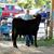 Patty Lee Kelley Turley's profile image