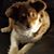 Katherine McNeely Wickline's profile image