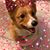 Denise Ferrara's profile image