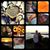 Shane Myers's profile image