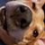Scott Olson's profile image