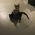 Linda Bell Binkley's profile image