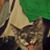 Dorothy Riggs's profile image